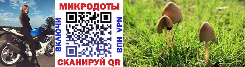 Галлюциногенные грибы GOLDEN TEACHER  Купить  Гусиноозёрск 